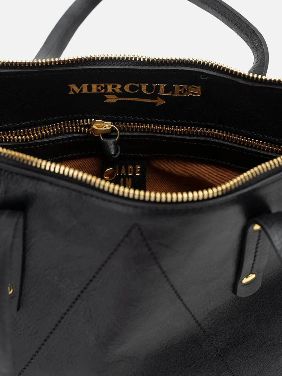 carpenter_negro_2.webp Mercules Grandes | Carpenter Negro